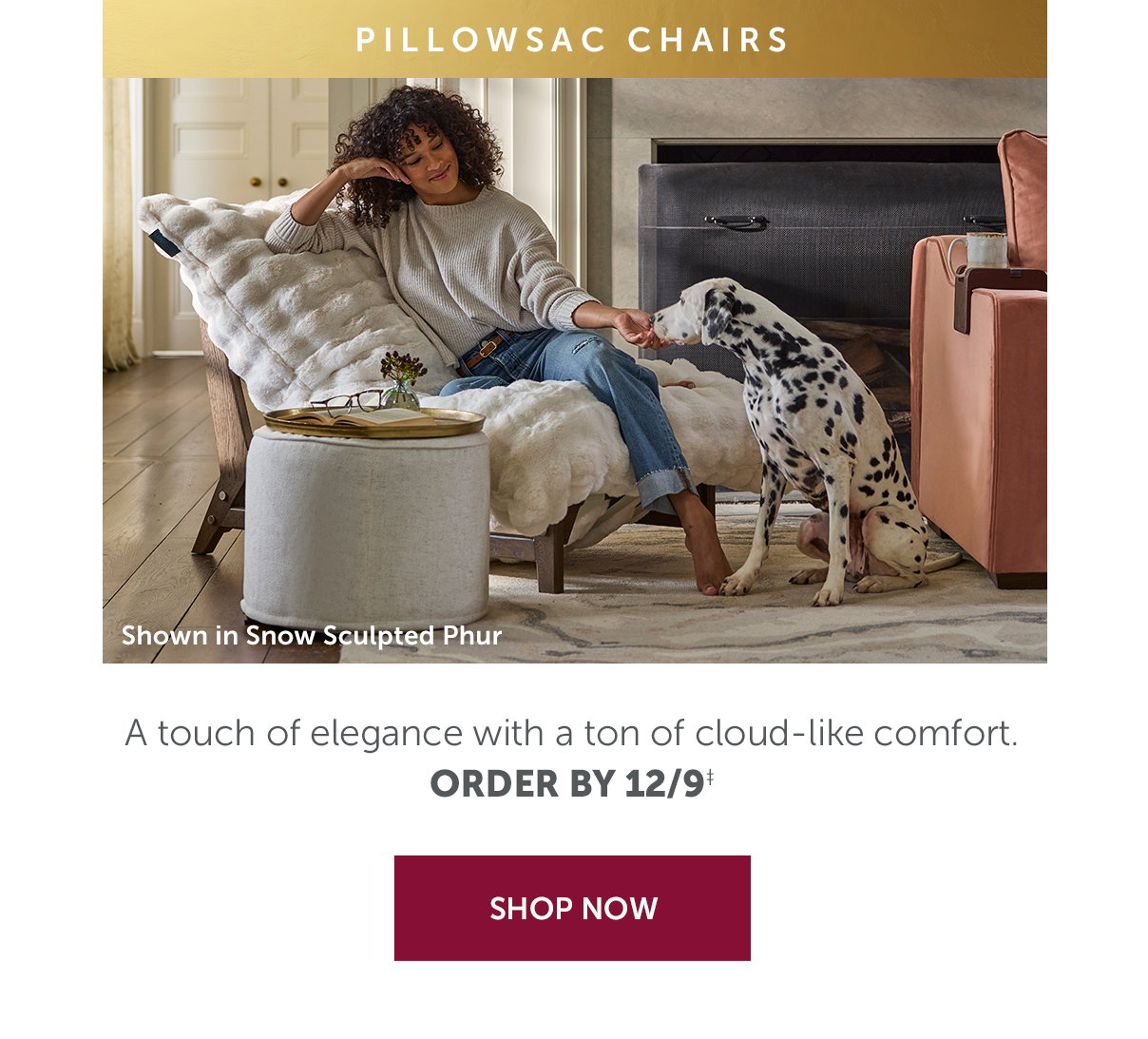 PillowSac Chairs | SHOP NOW >>