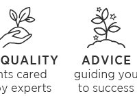 Advice - guiding you to success.