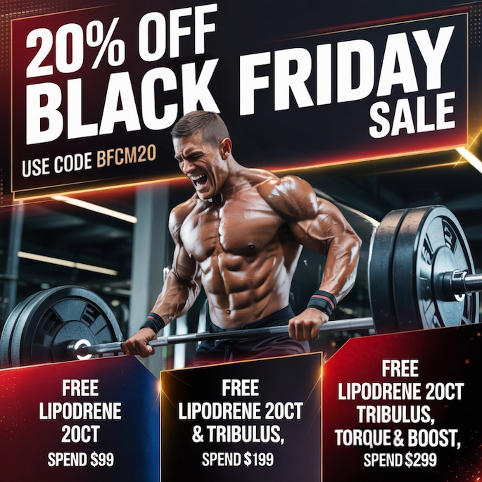 Black Friday Sale