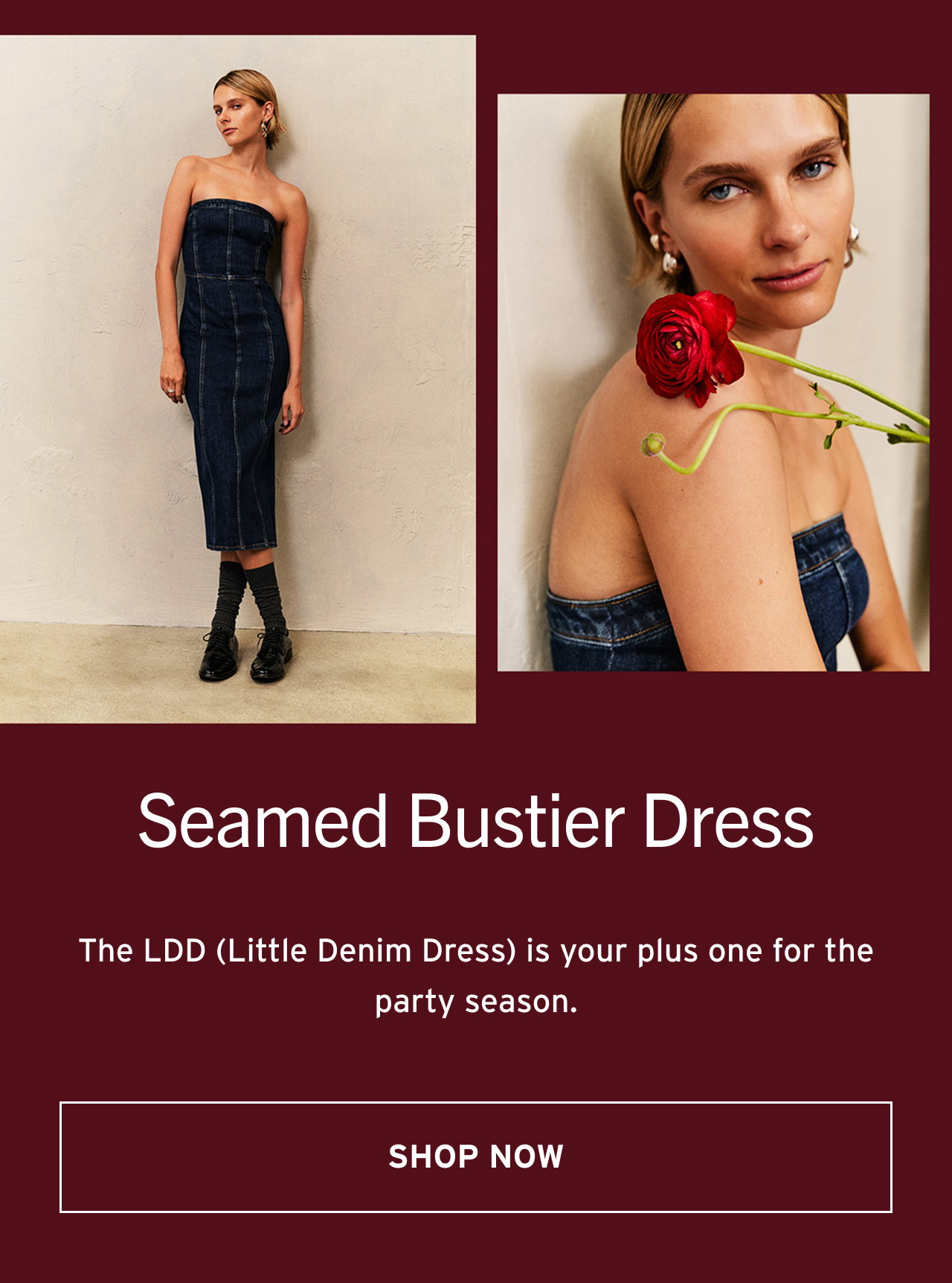 BUSTIER DRESS
