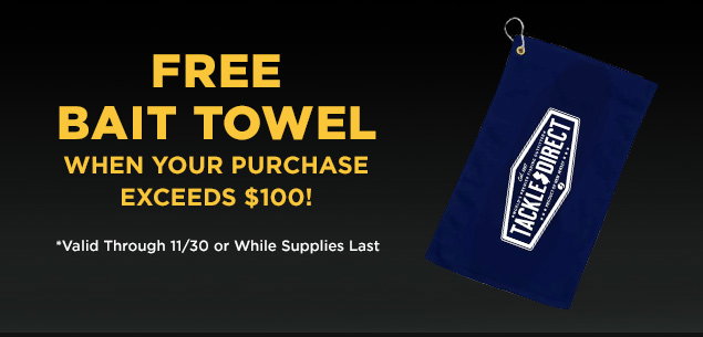 Free Gift With $100 Purchase