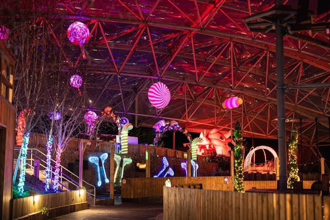 serendome during winter lights