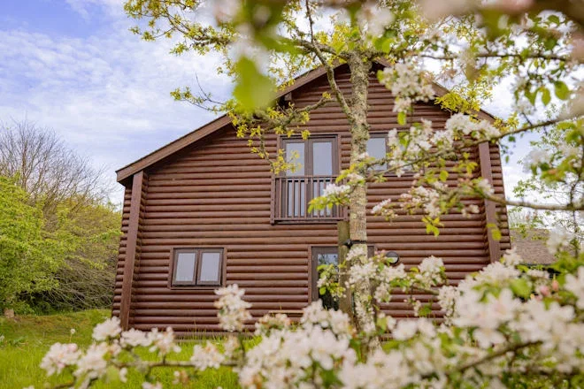 lodge during springtime