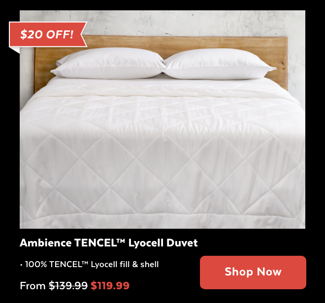 Shop Ambience Duvet Now