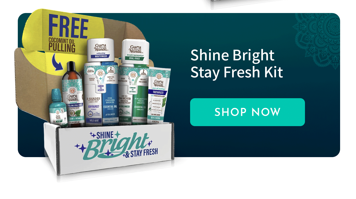 Shop Now