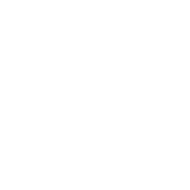 50MP camera system icon