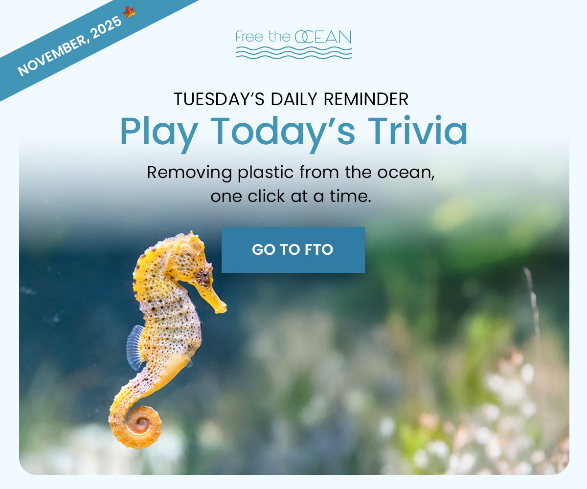 Removing plastic from the ocean, one click at a time