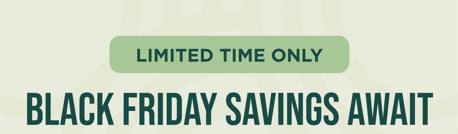 LIMITED TIME ONLY Black Friday Savings Await