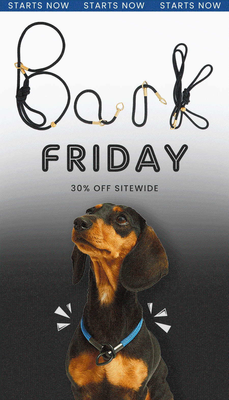 Bubble & Spike: It’s Here: The Biggest Sale of the Year 30% Off 🚨 | Milled