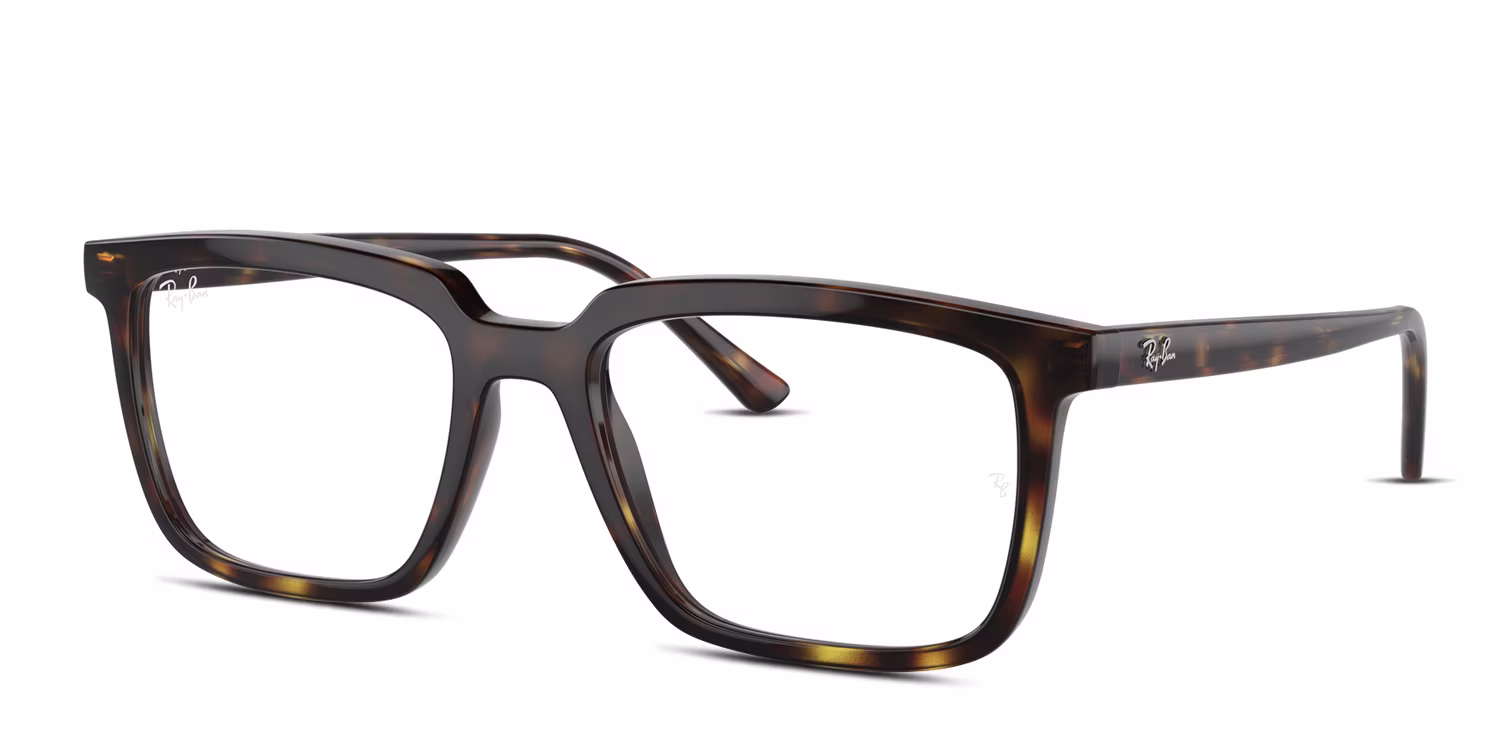 Ray-Ban RX7239 Alain