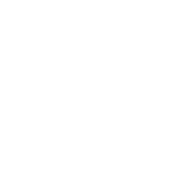 Intelligent pro-grade camera system icon