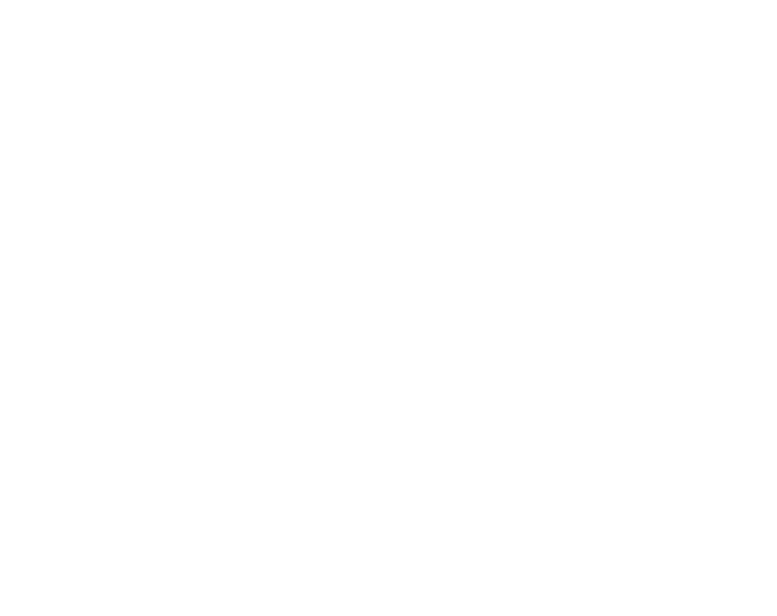 Financing