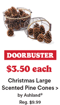 DOORBUSTER $5.50 each Christmas Jar Scented Pine Cones