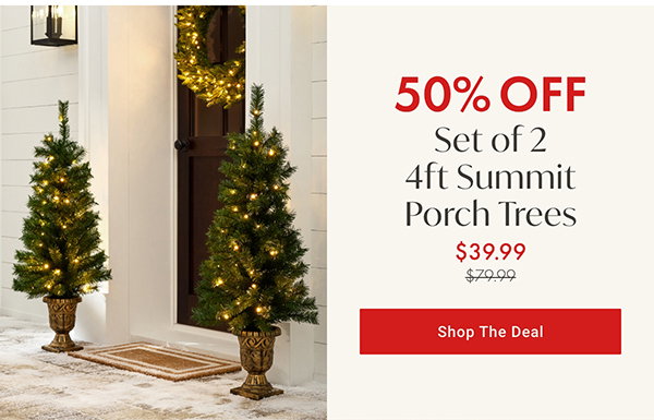 50% Off Set of 2 4ft Summit Porch Trees | Shop the Deal >