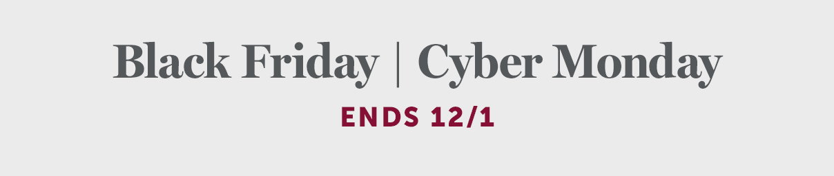 Black Friday Cyber Monday