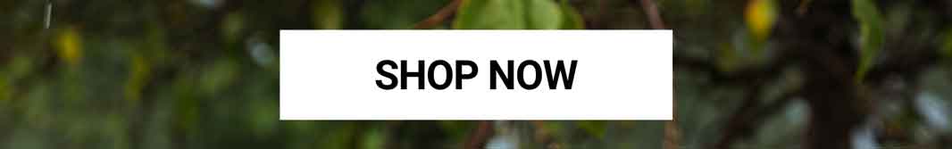 Save Big on GHOST® Amazon
