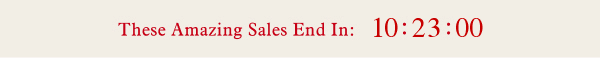 These Amazing Sales End In: