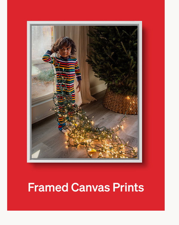 10 Free Cards + 50% Off Best-Selling Holiday Cards