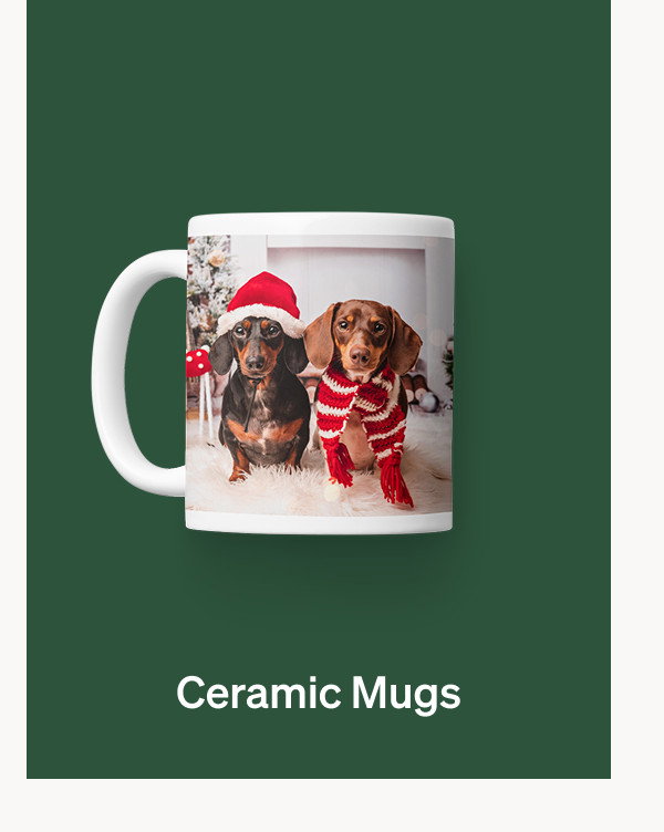 10 Free Cards + 50% Off Best-Selling Holiday Cards