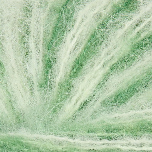 Image of Nova