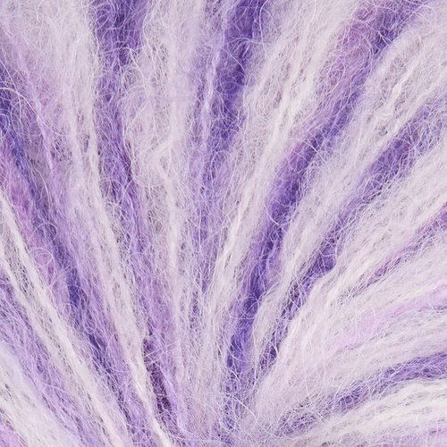 Image of Nova
