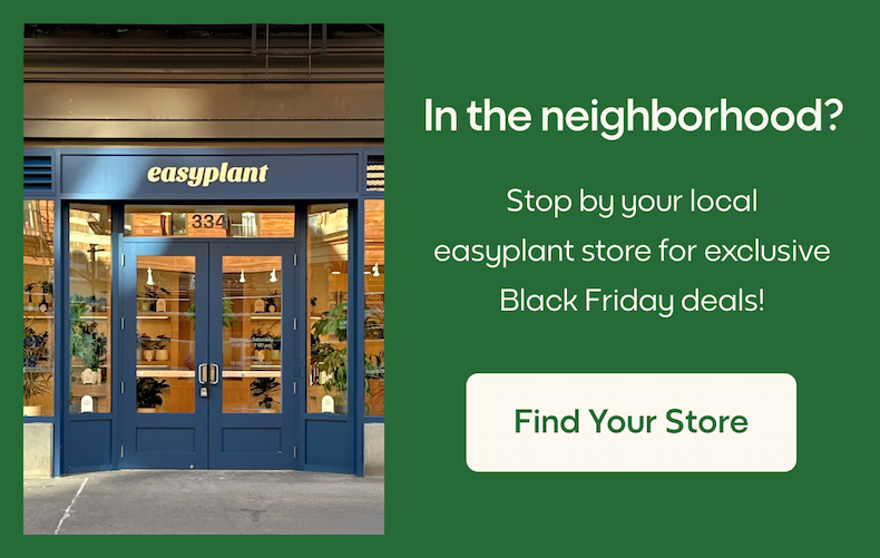 In the neighborhood?
