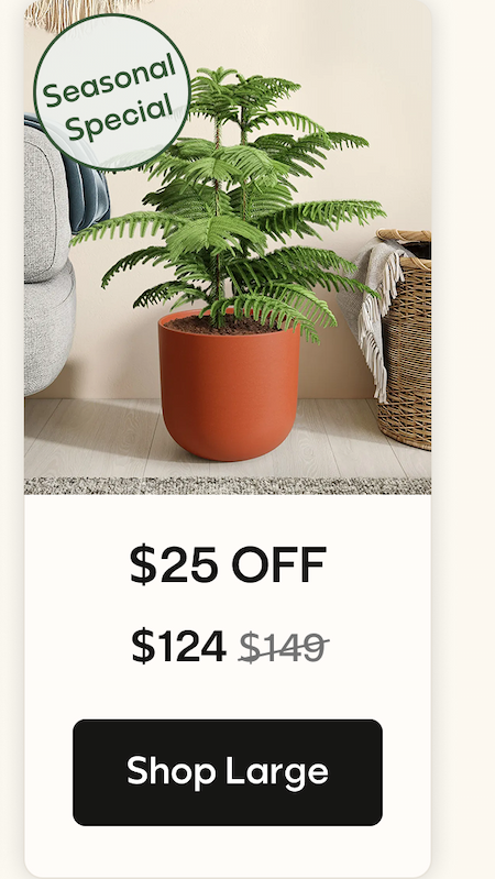 Shop Large