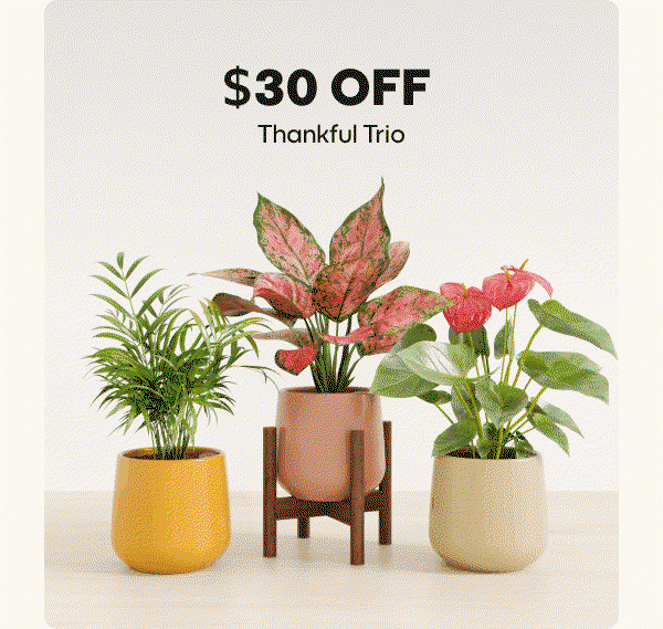 $85 OFF Giving Roots  $30 OFF Thankful Trio  $30 OFF Harvest Harmony