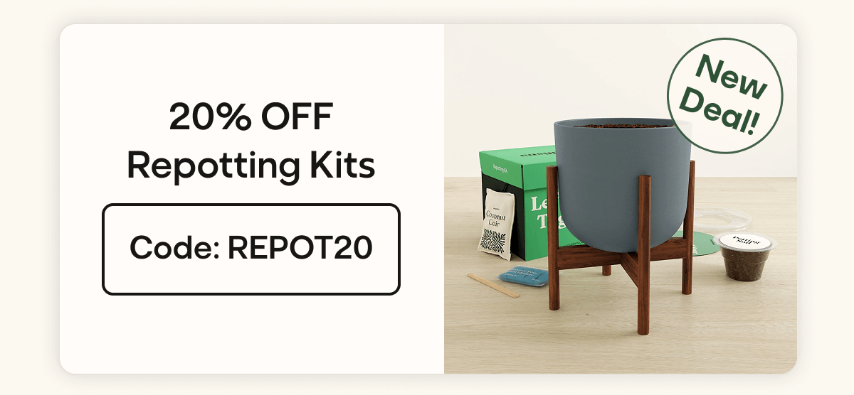 20% Off Repotting Kits with code: REPOT20