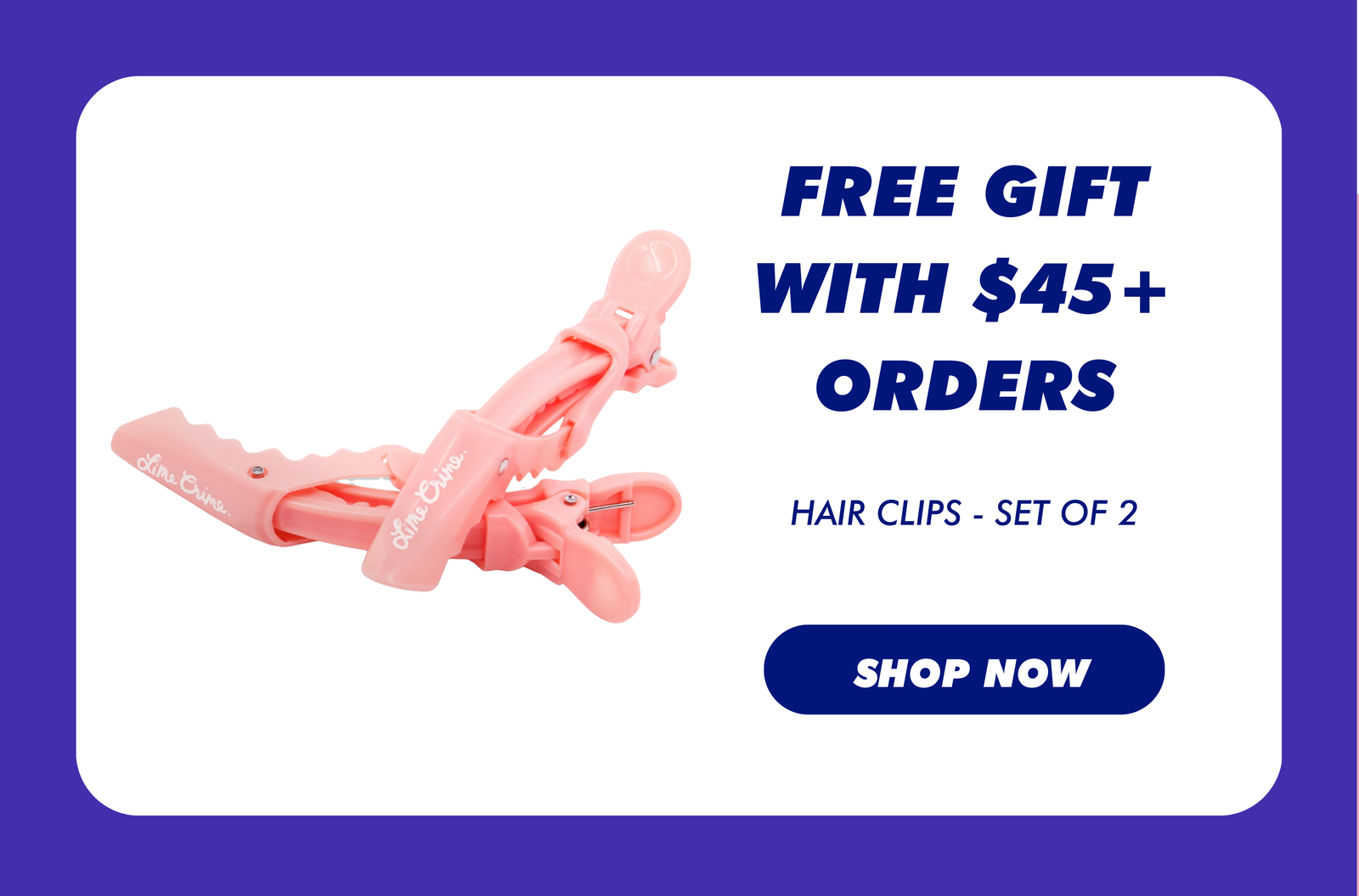 Free Gift with $45+ Orders | Hair Clips - Set of 2 | Shop Now