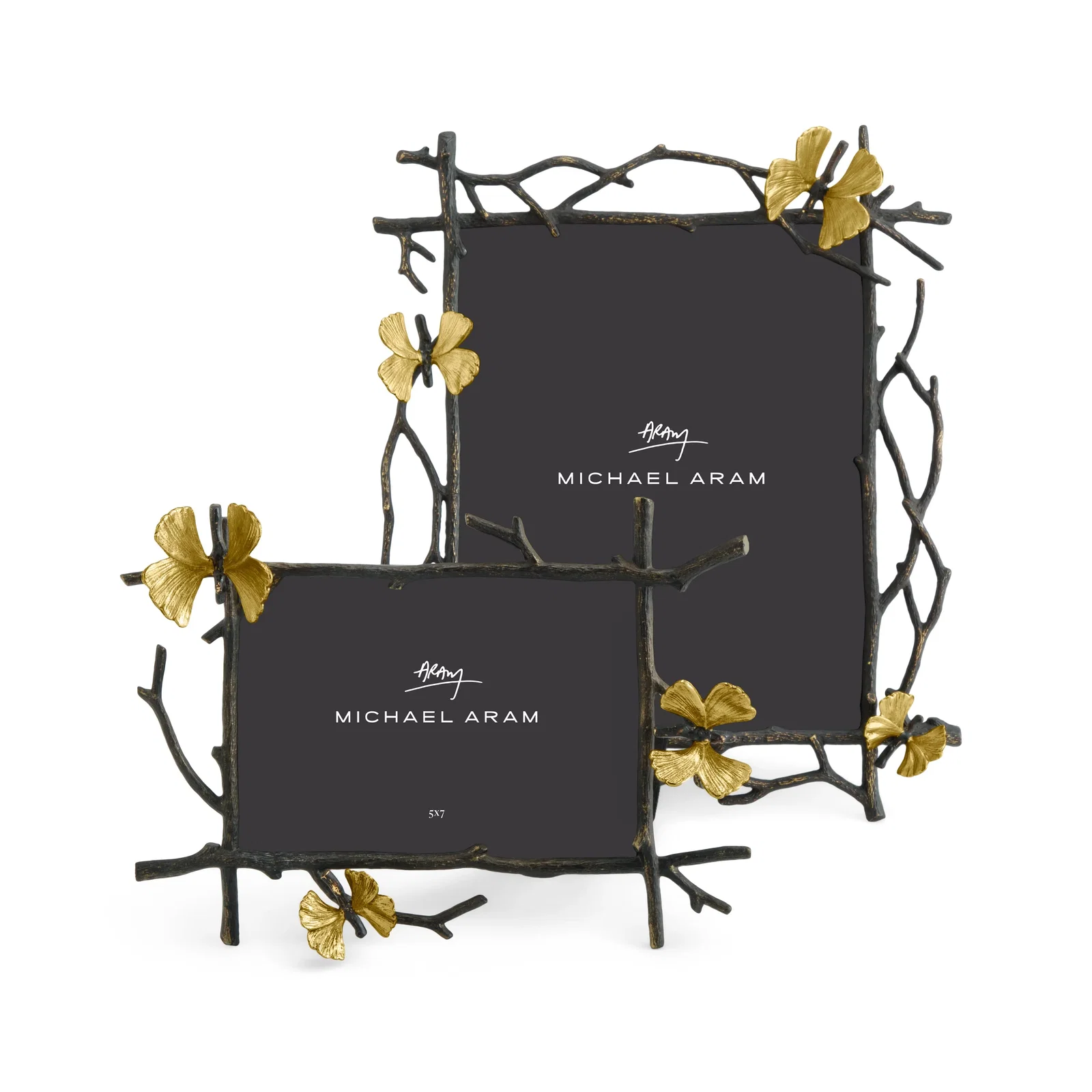 Image of Butterfly Ginkgo Frame