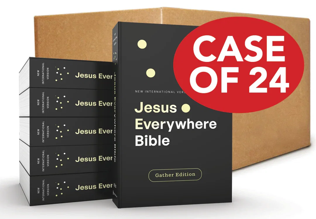  NIV, Jesus Everywhere Bible, Case of 24