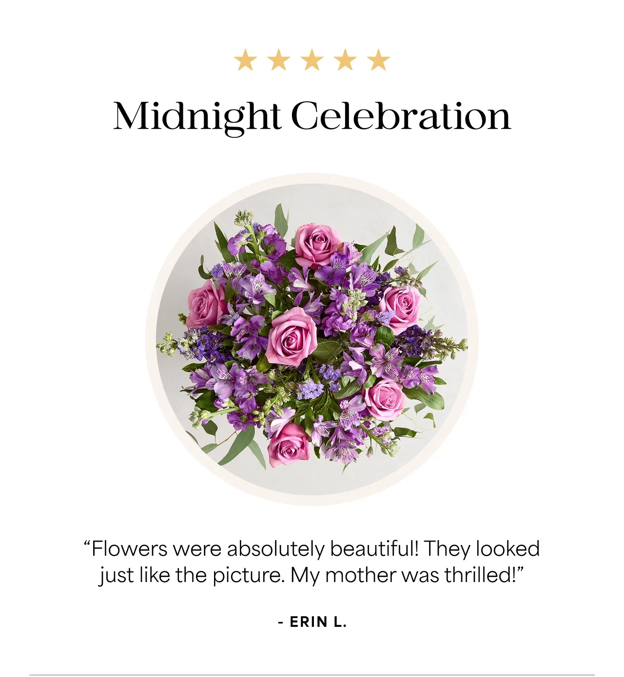 Midnight Celebration | 