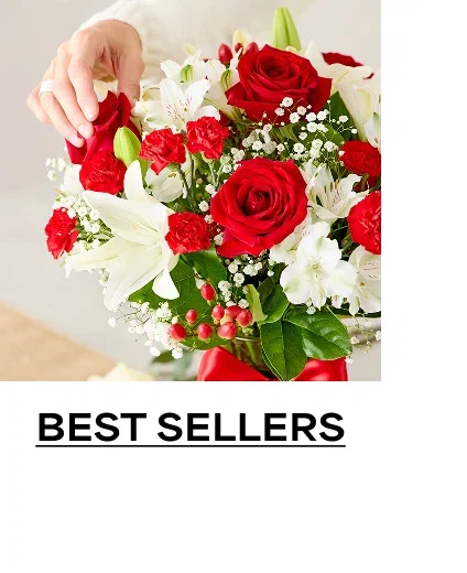 Best Sellers