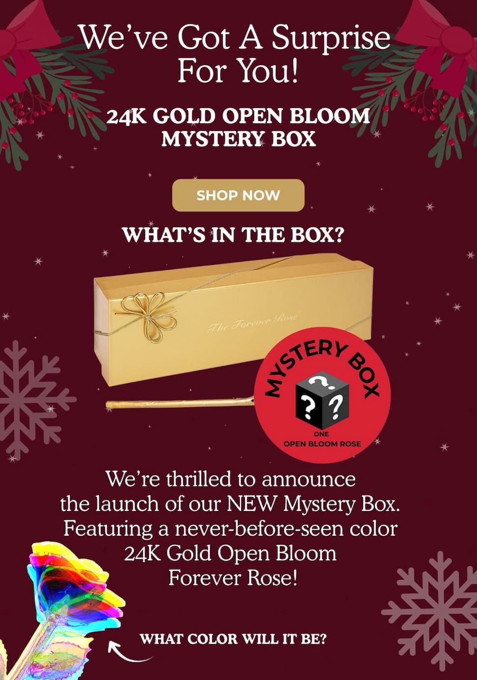 December Deal