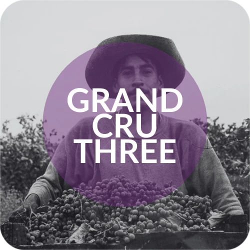 The Grand Cru Three