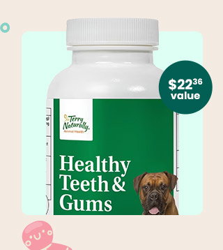 Healthy Teeth & Gums by Terry Naturally Animal Health. A $22.36 value! Code: FREETERRY. Get my Gift.