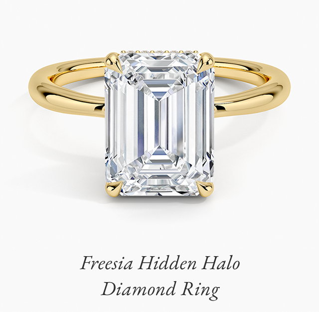 Freesia Hidden Halo Diamond Ring