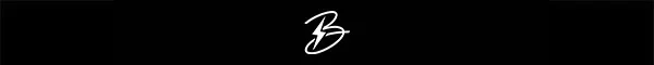 BRUCE BOLT Logo