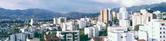 Pereira