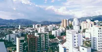 Pereira