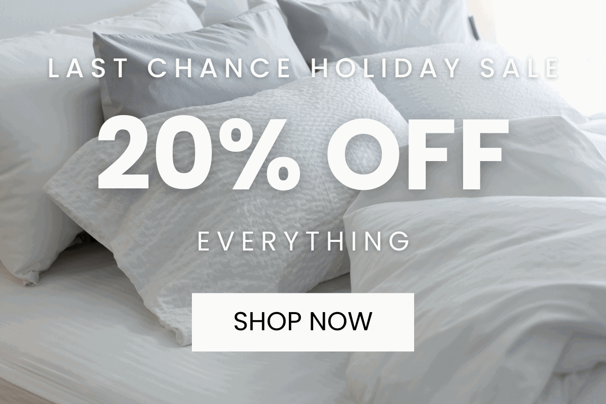 Last chance holiday sale - save 20%. SHOP NOW