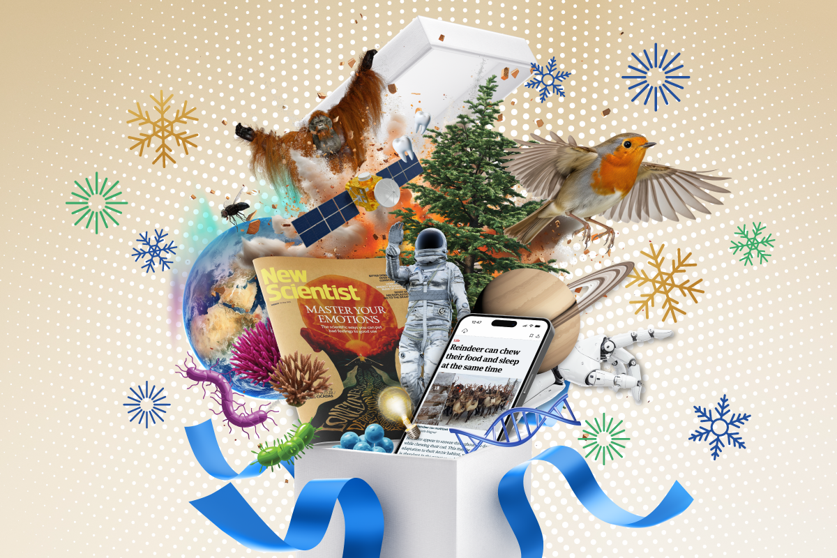 New Scientist gift subscriptions. Links to offer