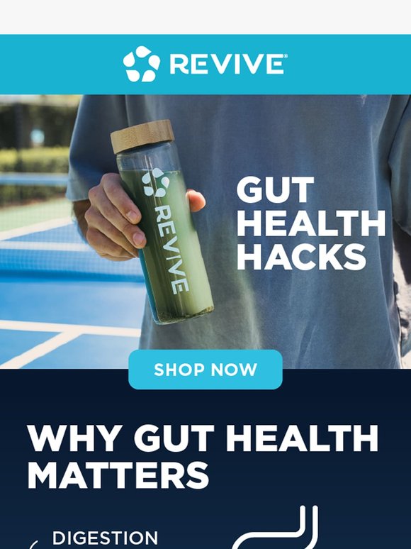 Revive Supplements: The Secret to Better Digestion Starts Here! | Milled