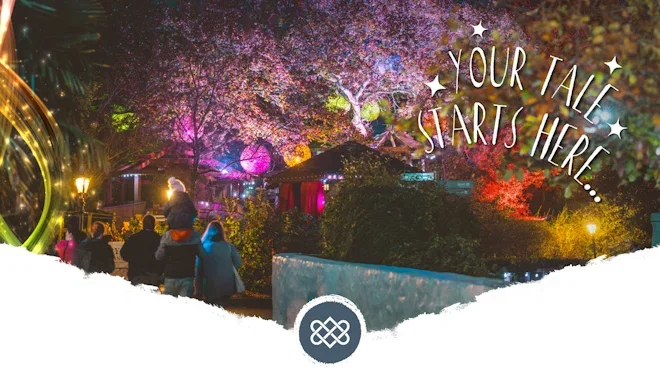 wish tree light show