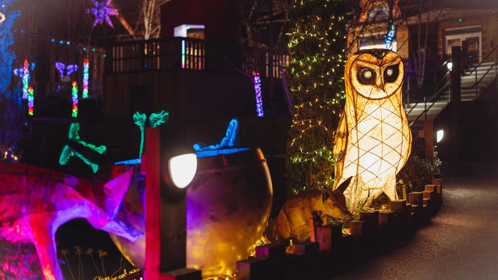 winter lights decoration