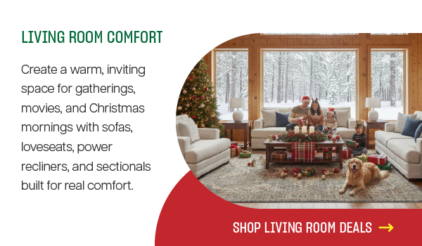 Living Room Comfort