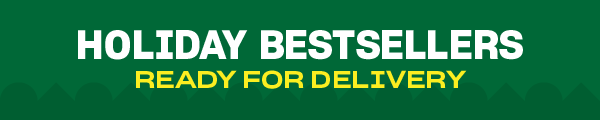 Holiday Bestsellers