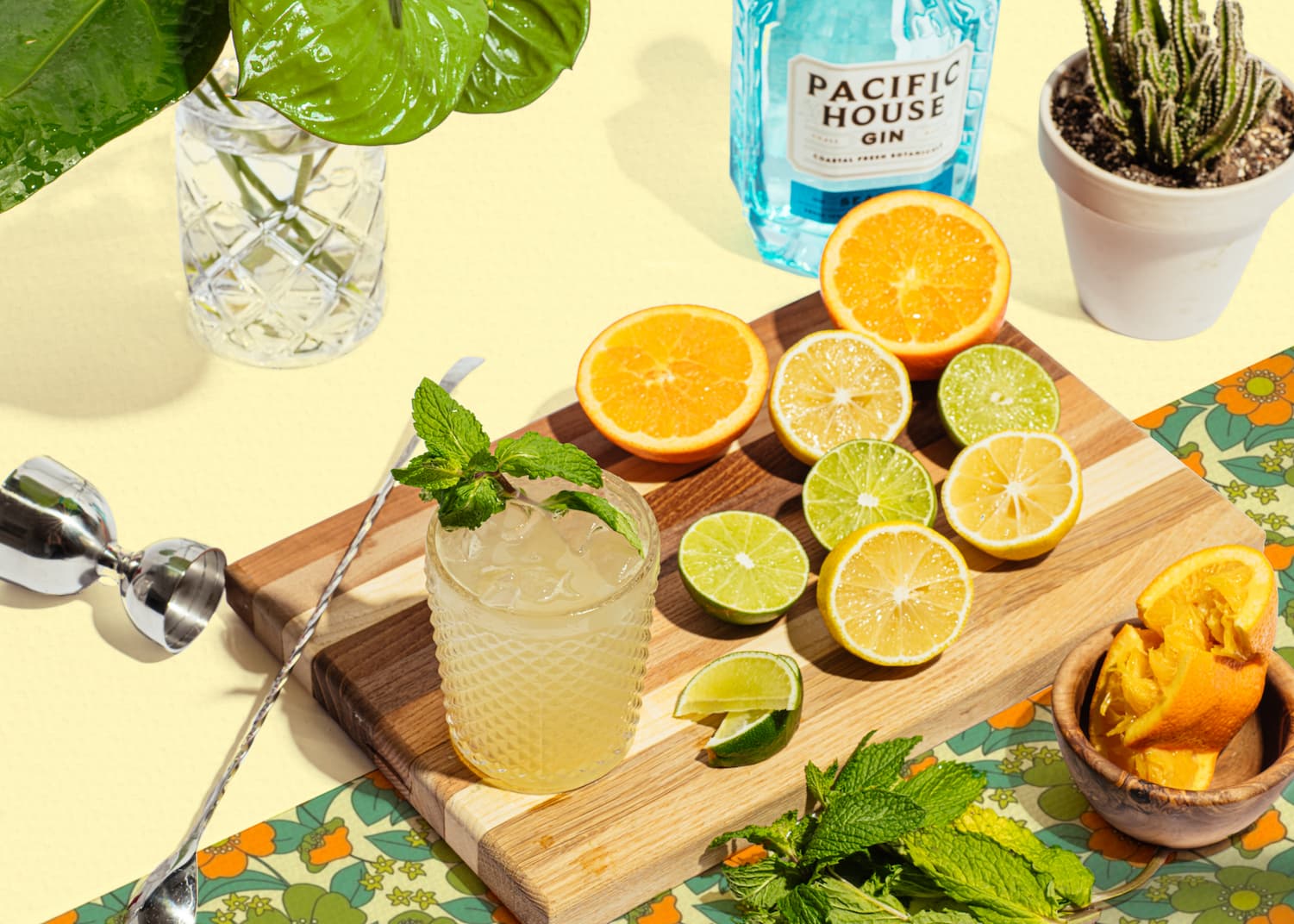 Gin Cocktail Class