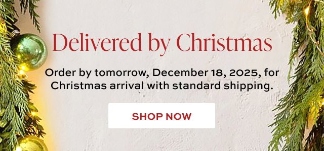 Delivered by Christmas - Order by tomorrow, December 18, 2025, for Christmas arrival with standard shipping.  